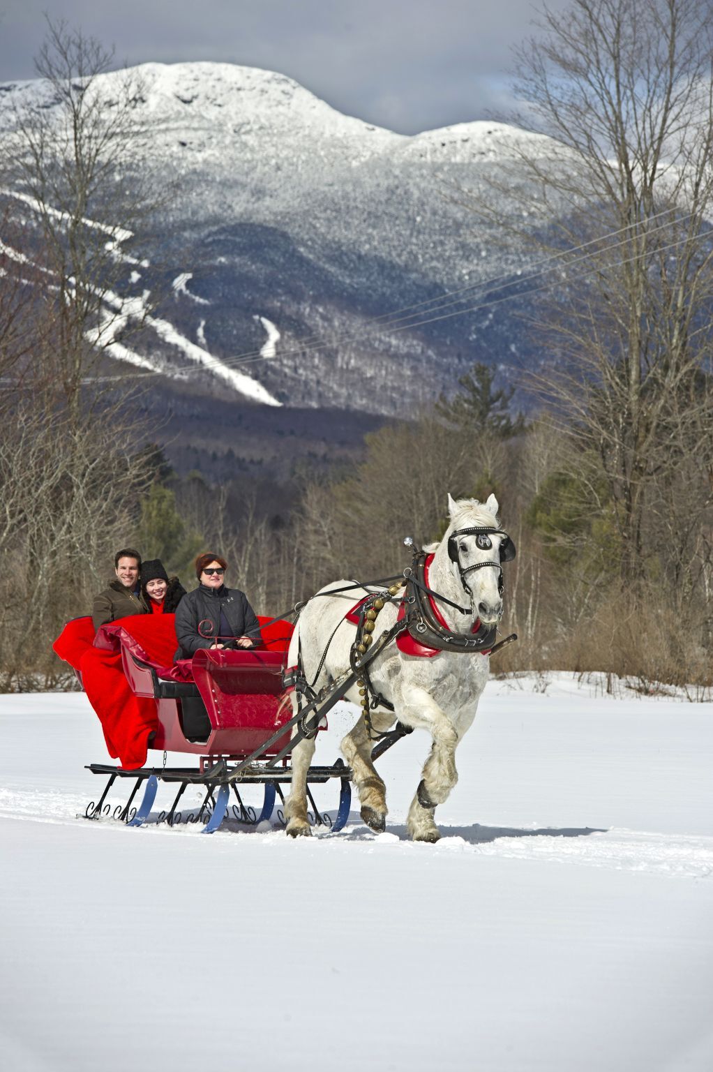 Topnotch Resort